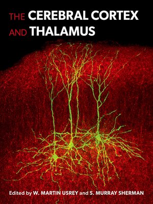 cover image of The Cerebral Cortex and Thalamus